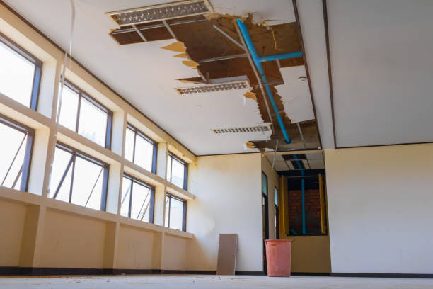 Best Residential water damage restoration  in Berkeley, CA
