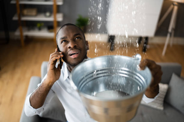 Best Flood restoration services  in Berkeley, CA