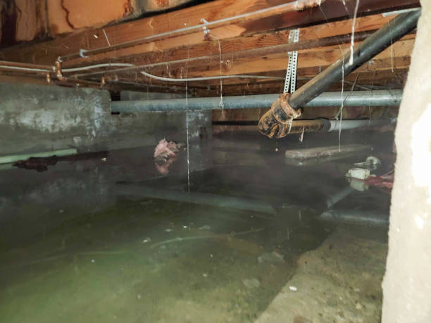 Best Water damage restoration near me  in Berkeley, CA