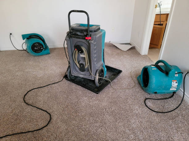 Reliable Berkeley, CA Water damage restoration Solutions