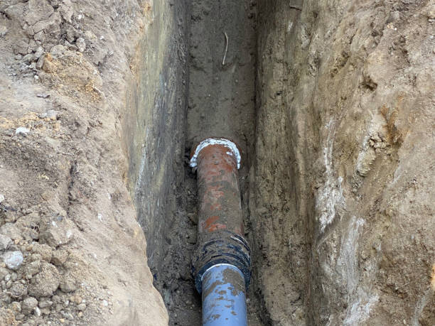 Best Sewage cleanup and water damage restoration  in Berkeley, CA