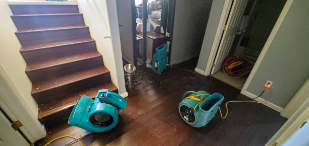 Best 24/7 water damage repair  in Berkeley, CA