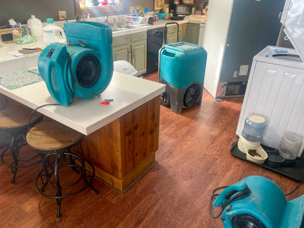 Best Mold removal after water damage  in Berkeley, CA