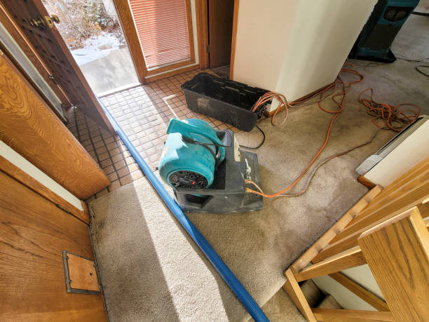 Best Flooded house restoration  in Berkeley, CA