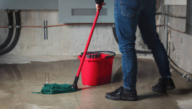 Best Basement water damage restoration  in Berkeley, CA