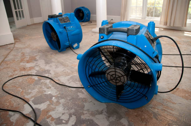 Local water damage restoration in Berkeley, CA