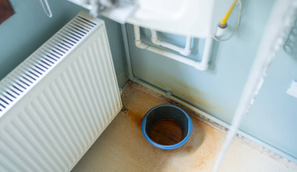 Best Flood damage cleanup  in Berkeley, CA