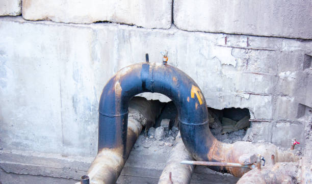 Carpet water damage restoration in Berkeley, CA
