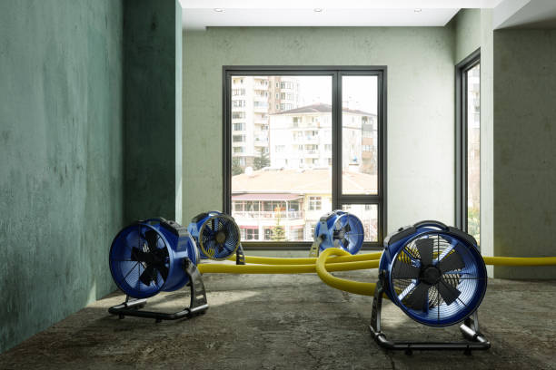 Best Carpet water damage restoration  in Berkeley, CA
