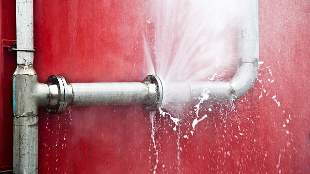 Best Water damage contractors near me  in Berkeley, CA